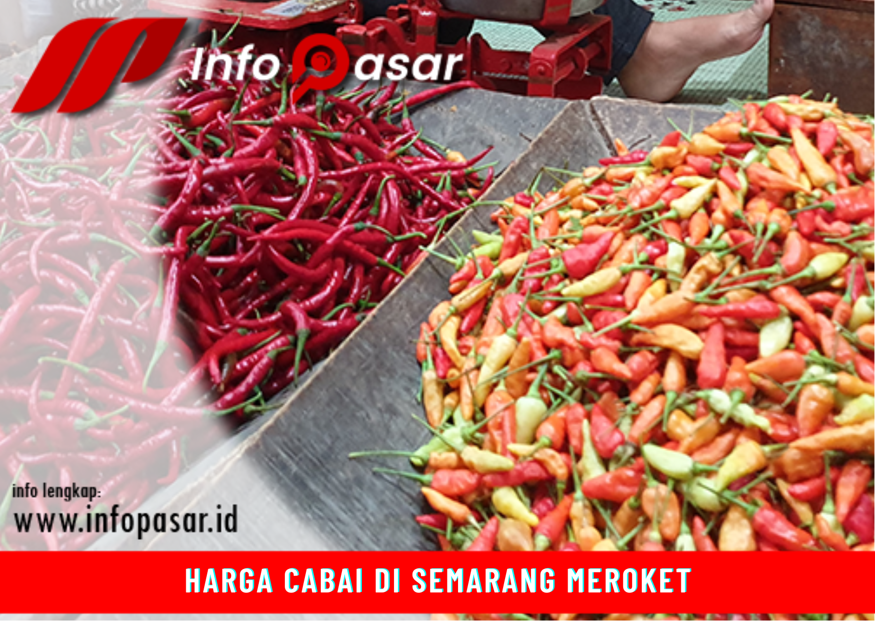 Harga Cabai Di Semarang Meroket