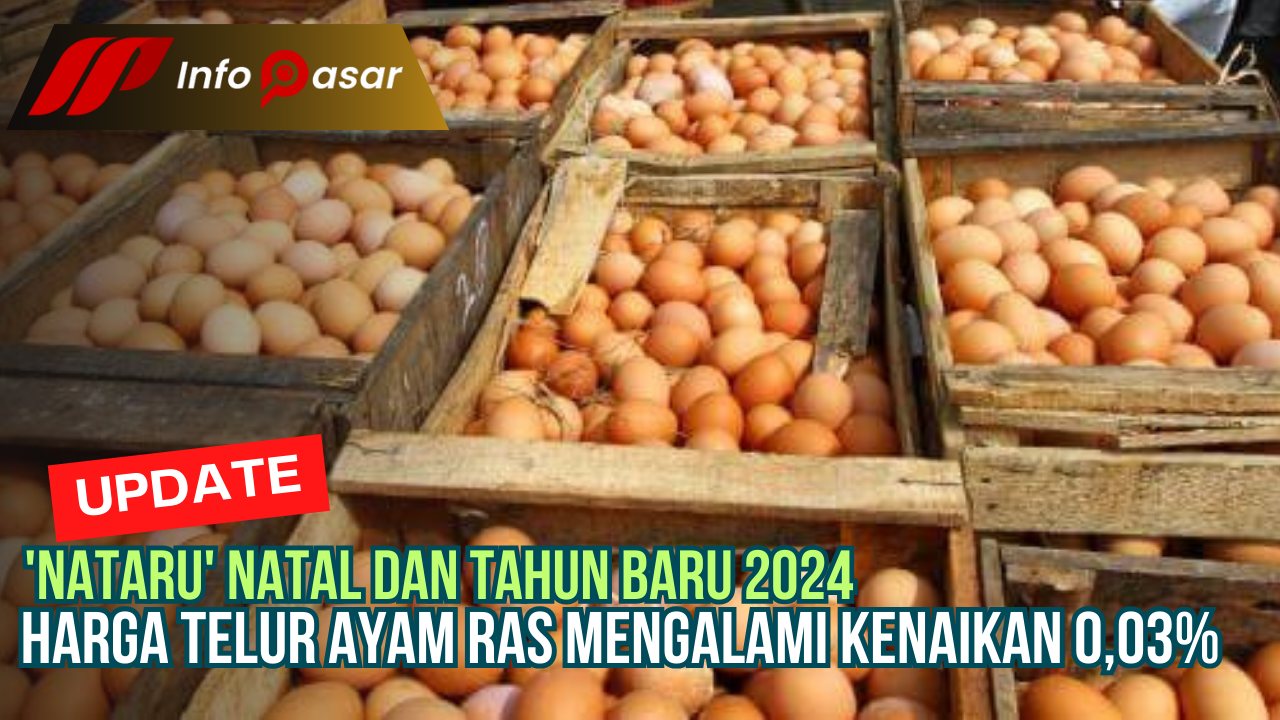 ‘Nataru’ Harga Telur Ayam Ras Mengalami Kenaikan 0,03%