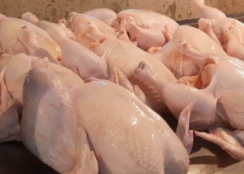 Jelang Nataru, Ayam Dan Cabai Mengalami Kenaikan Harga
