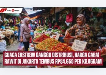 Cuaca Ekstrem Ganggu Distribusi, Harga Cabai Rawit di Jakarta Tembus Rp84.650 Per Kilogram