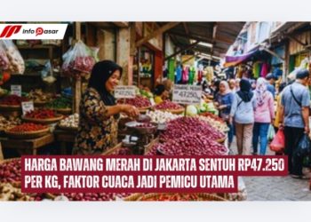 Harga Bawang Merah di Jakarta Sentuh Rp47.250 Per Kg, Faktor Cuaca Jadi Pemicu Utama