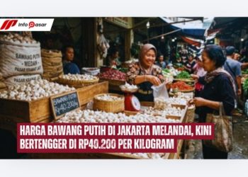 Harga Bawang Putih di Jakarta Melandai, Kini Bertengger di Rp40.200 per Kilogram