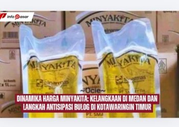 Dinamika Harga Minyakita: Kelangkaan di Medan dan Langkah Antisipasi Bulog di Kotawaringin Timur
