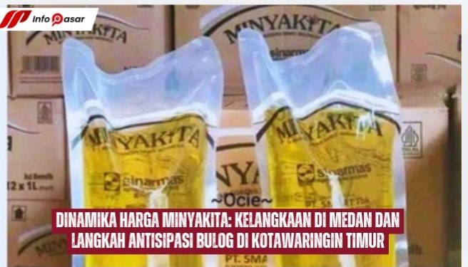 Dinamika Harga Minyakita: Kelangkaan di Medan dan Langkah Antisipasi Bulog di Kotawaringin Timur