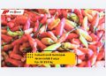 Cabai Rawit Melonjak Menyentuh Harga Rp. 72.724/kg