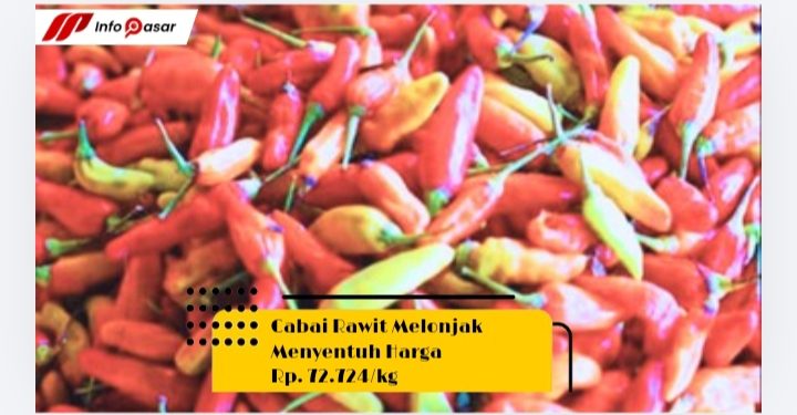 Cabai Rawit Melonjak Menyentuh Harga Rp. 72.724/kg