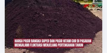 Harga Pasir Bangka Super dan Pasir Hitam Cor di Pasaran Mengalami Fluktuasi Menjelang Pertengahan Tahun
