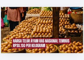 Harga Telur Ayam Tembus Rp30.100 per Kilogram