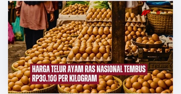Harga Telur Ayam Tembus Rp30.100 per Kilogram