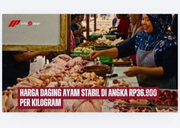Harga Daging Ayam Stabil di Angka Rp36.900 per Kilogram