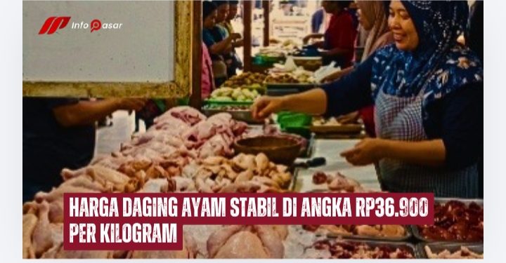 Harga Daging Ayam Stabil di Angka Rp36.900 per Kilogram