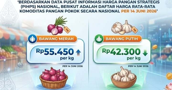 Harga Bawang Merah dan Bawang Putih Kompak Stabil di Pertengahan Juni 2026