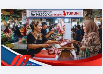 Berita Terkini !!! Harga Daging Sapi Mengalami Penurunan