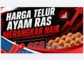 Harga Telur Ayam Ras Merangkak Naik, Tembus Rp29.650 per Kilogram