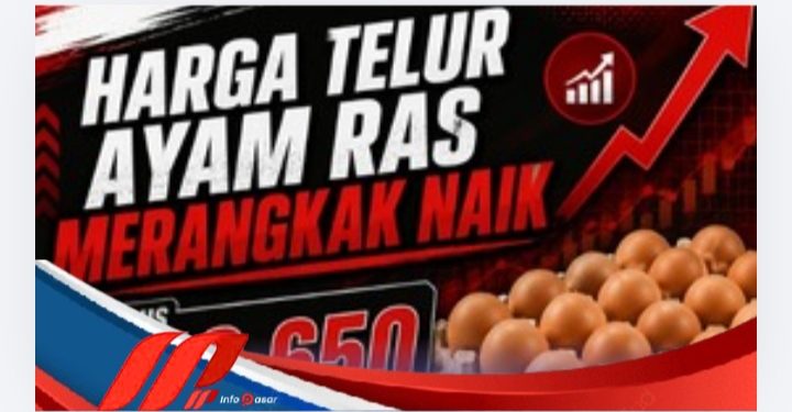 Harga Telur Ayam Ras Merangkak Naik, Tembus Rp29.650 per Kilogram