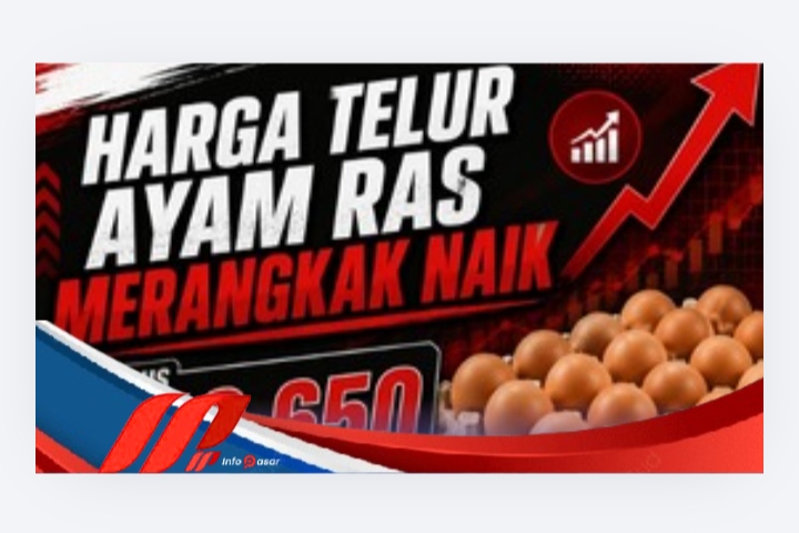 Harga Telur Ayam Ras Merangkak Naik, Tembus Rp29.650 per Kilogram