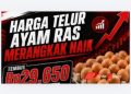 Harga Daging Ayam Ras Segar di Pasaran Tembus Rp39.900 per Kilogram