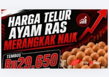Harga Daging Ayam Ras Segar di Pasaran Tembus Rp39.900 per Kilogram