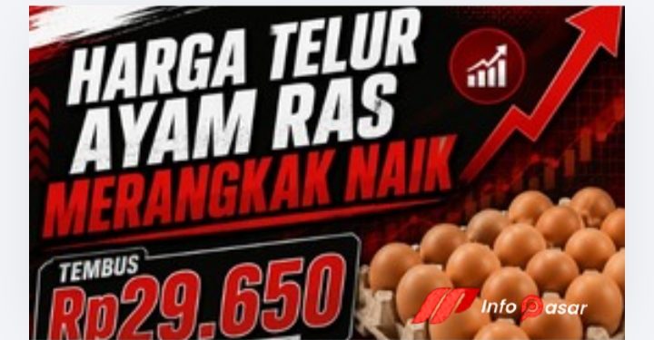 Harga Daging Ayam Ras Segar di Pasaran Tembus Rp39.900 per Kilogram