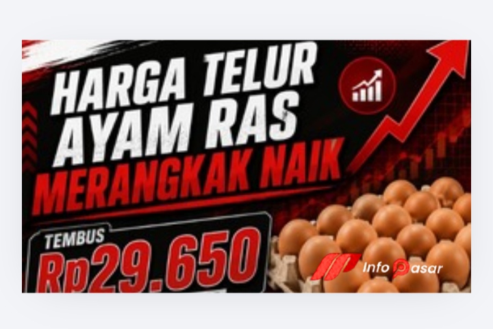 Harga Daging Ayam Ras Segar di Pasaran Tembus Rp39.900 per Kilogram