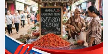 Harga Cabai Rawit Merah Rp55.800 hingga Rp57.100 per Kilogram