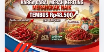 Harga Cabai Merah Keriting Rp48.500 per Kilogram