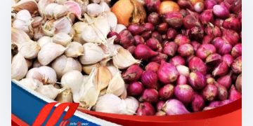 Bawang Merah Melonjak Naik, Bawang Putih Stabil