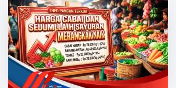 Harga Cabai dan Sejumlah Sayuran Merangkak Naik